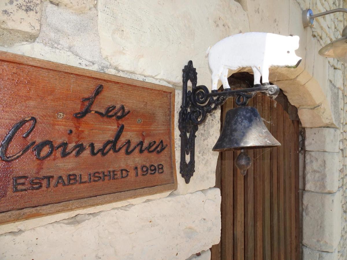 Faye-la-Vineuse Les Coindriesヴィラ エクステリア 写真